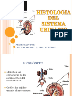 Tejido Del Sist. Renal