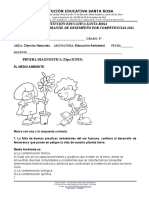 DIAGNÓSTICO ESTUDIANTES .3°-E. AMBIENTAL-SANTA ROSA