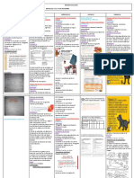 Agenda Semana Del 31 Al 04 de Noviembre - 2022