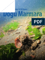 Doğu Marmara