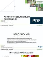 Aminoglucósidos, Macrólidos y Lincosanidas