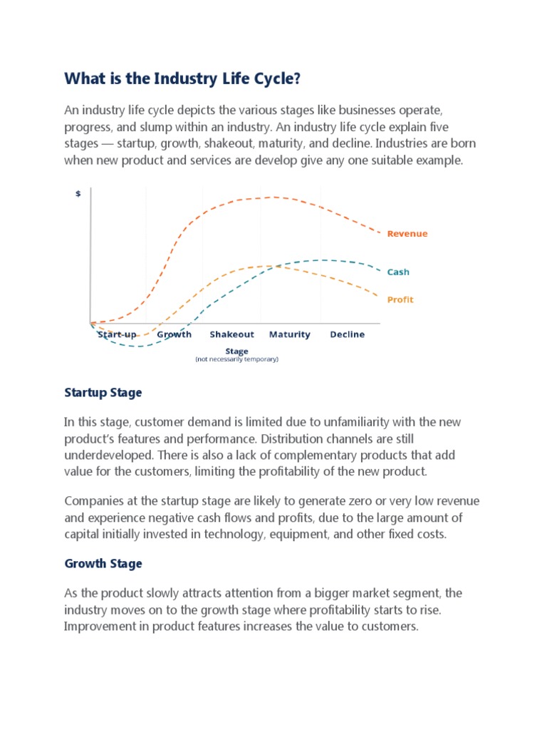 What Is The Industry Life Cycle Pdf Profit Economics Economies