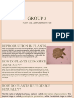 Group 3 Plants and Animals Reproduction