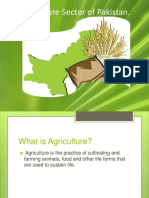 CH # 9 Agriculture Sector of Pakistan