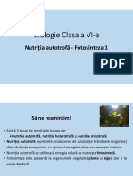 Fotosinteza 1 - Biologie Clasa A VI-A