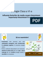 Fotosinteza 3 - Biologie Clasa A VI-A