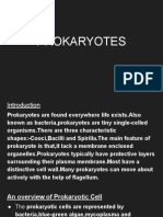 Prokaryotes