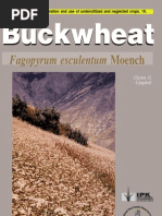 Download Buckwheat Fagopyrum esculentum Moench by lazanyi8013 SN6120092 doc pdf