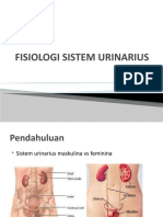 B15 12 Fisiologi Sistem Urinarius