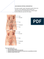 24 4 2012 Radiologi Imejing Sistema Urogenitale