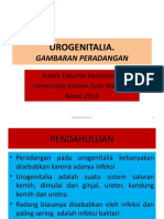 Urogenitalia - PPTX Revisi 2014