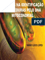 Tema 07 - DNA Mitocondrial