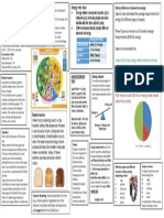 Knowledge Organiser 2