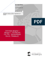 Actividad Dirigida 1 Bloque 1: TÉCNICAS DE PRL "SEGURIDAD EN EL TRABAJO"