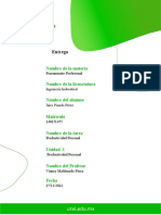 Tarea 1 - Productividad Personal