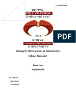 Lab Report Cellular Transport