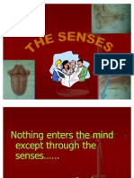 4 the SENSES - Edited