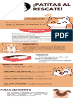 Infografía Cuidado de Gatitos Naranja