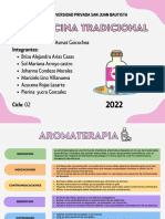 Medicina Tradicional - Semana 11 - Conjunto de Terapias