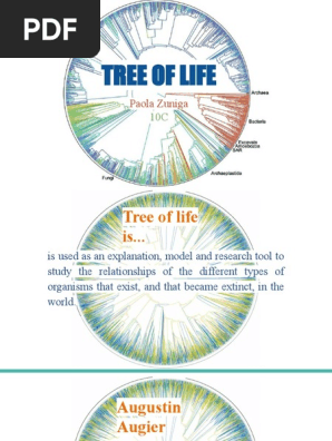 Tree of Life