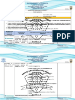 7mo Media Microcurricular 1er Parcial