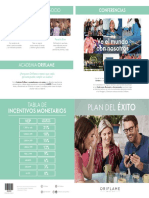 Brochure PlanExito2020 PE Consulta