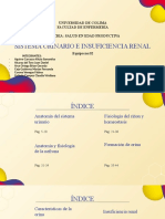 SISTEMA URINARIO E INSUFICIENCIA RENAL 