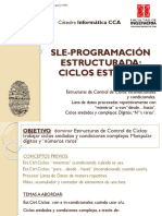 Teoria EstCtrl-CiclosComplexDigitos (SLE) 1ºc2015