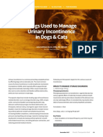PTB - Drugs Used To Manage Urinary Incontinence in Dogs Cats 44086 Article