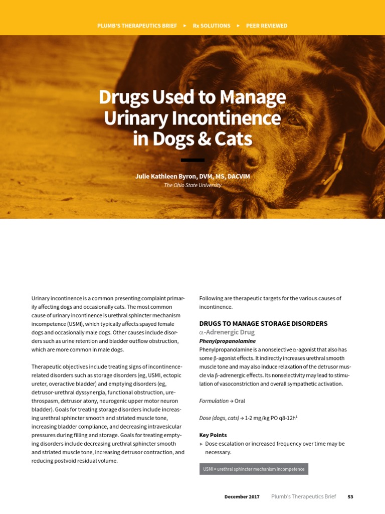 PTB Drugs Used To Manage Urinary Incontinence in Dogs Cats 44086 Article PDF Urinary