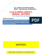 Matrizes: conceitos básicos e operações