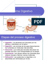 Sistema Digestivo 4to