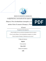 Comprobación y Asociación de Las Especies Cissus Sicyoides (Bejuco), Ficus Luschnathiana (Matapalo) y Su Aparición en Los Arboles Citrus X Sinensis (Naranjo) y Theobroma Cacao (Cacao)