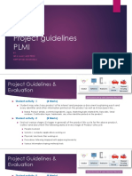 PLMI Project Guidelines