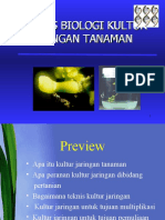 Proses Biologi Kultur Jatingan Taanaman