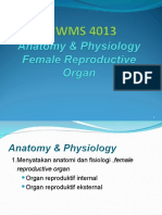 A&P.ppt Female Reproductive Organ