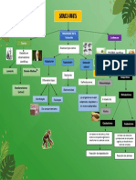 Mapa Conceptual