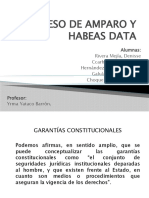 Grupo Nu00ba 7 Proceso de Amparo y Habeas Data