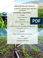 Determinacion Del Requerimiento Hidrico Del Cultivo de Lechuga