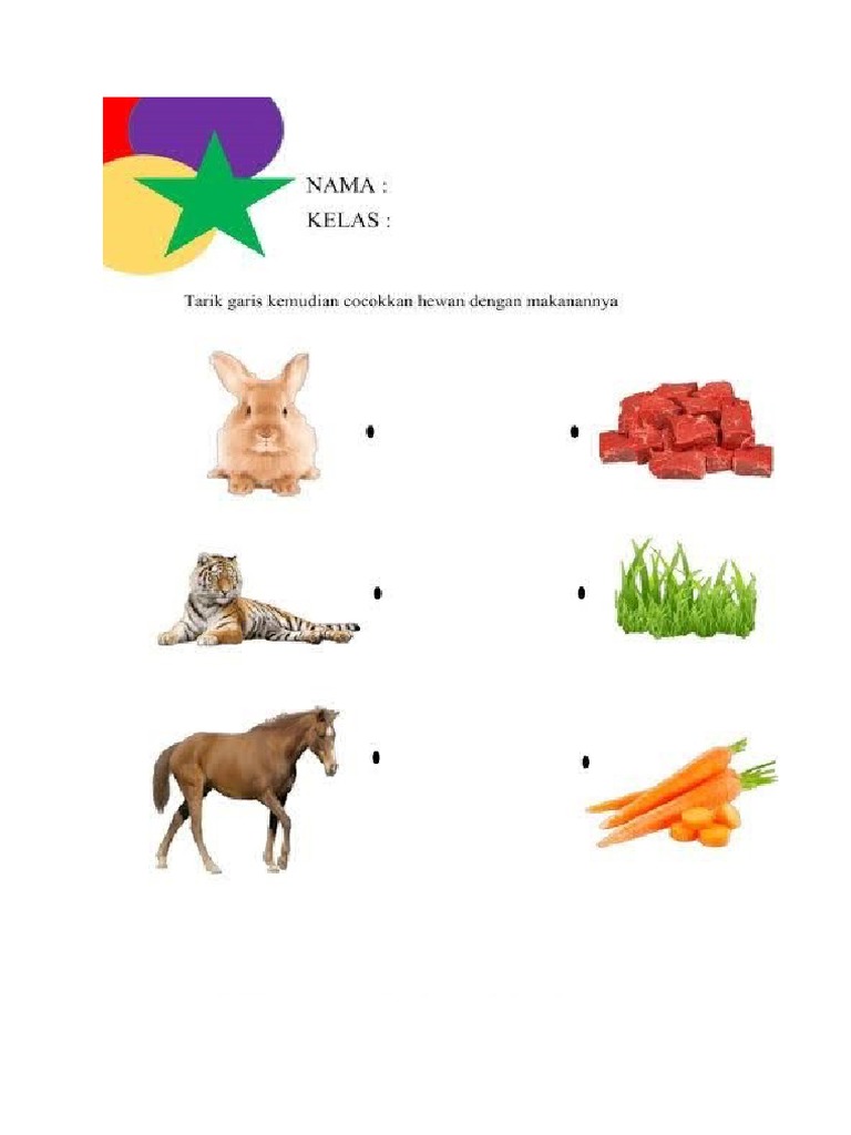 Hewan & Makanannya | PDF