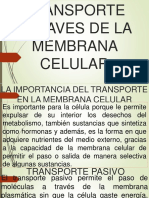 Transporte Atraves de La Membrana Celular PDF