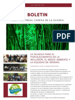 Boletin Mesa Sectorial Cadena de La Guadua