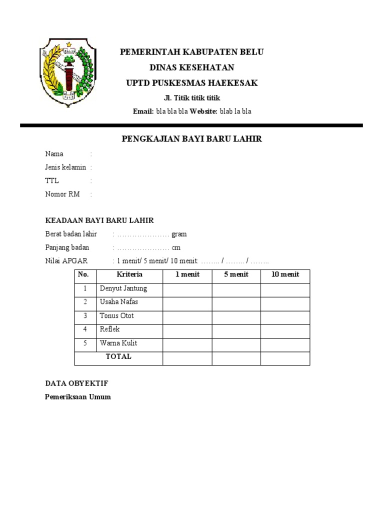Pengkajian Kesehatan Bayi Baru Lahir | PDF