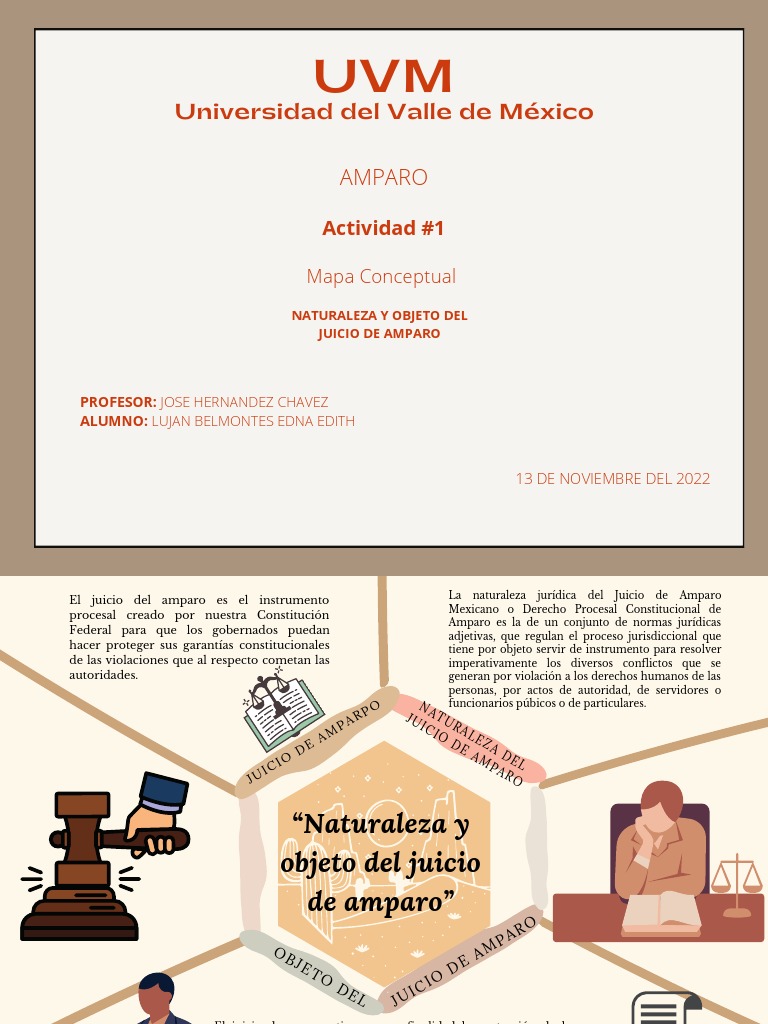 Naturaleza del Juicio de Amparo | PDF | Ley procesal | Justicia