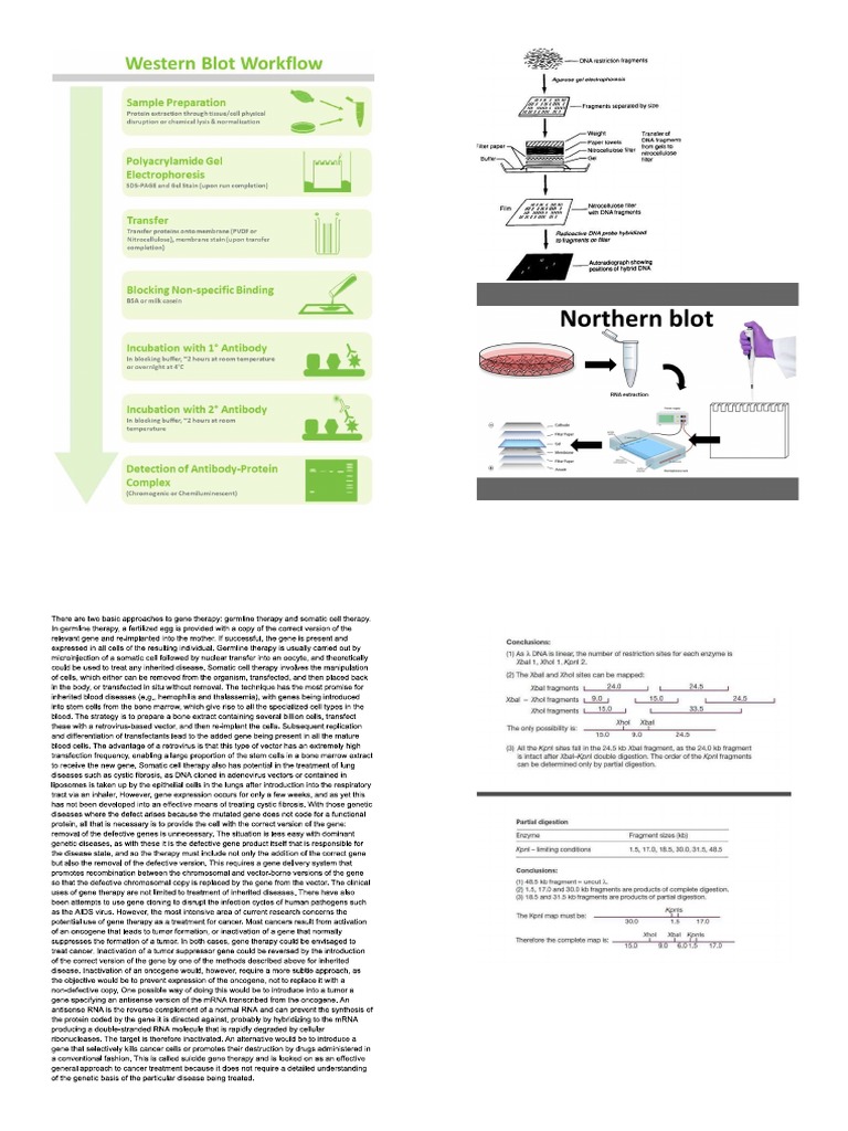 Fara | PDF