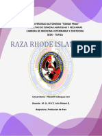 Caracteristicas de La Raza Rhode Islan Red