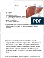 Liver Anatomy