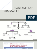 Tables, Diagrams and Summaries-1
