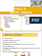 Tema 8-Reino Animal