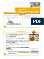 TEMA 5-ANIMALES INVERTEBRADOS-2 Parte